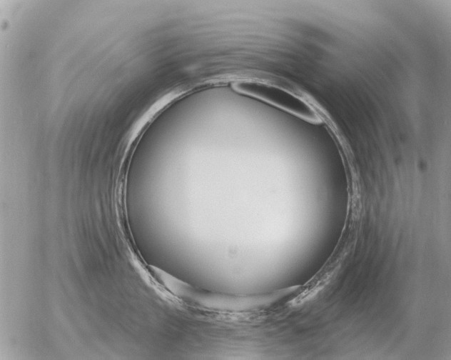 X0000054440909200508270009