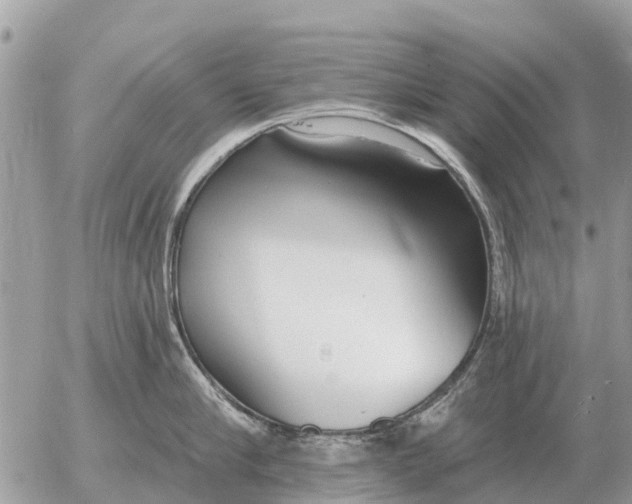 X0000054440910200508270009