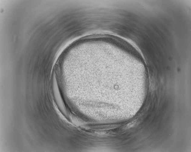 X0000054440911200508270009