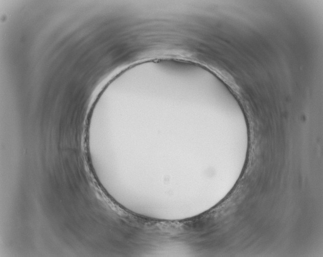 X0000054440912200508270009