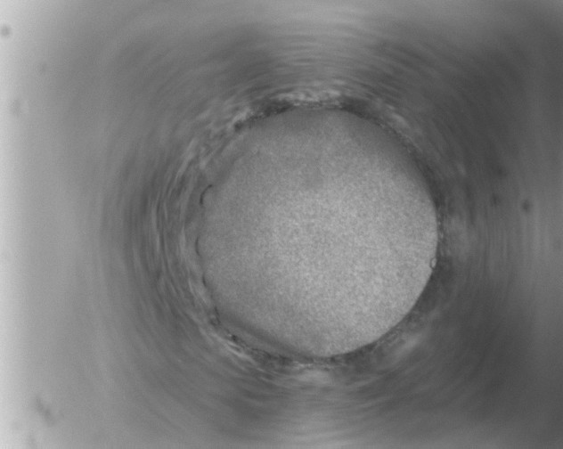 X0000054440913200508270008