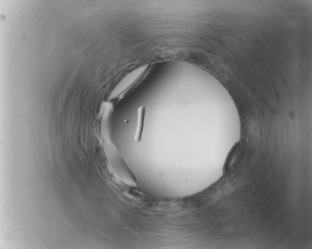 X0000054440914200508270009