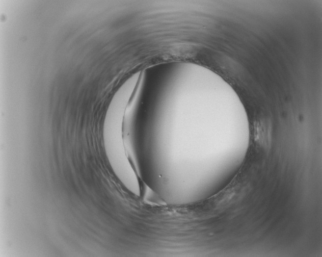 X0000054440915200508270009