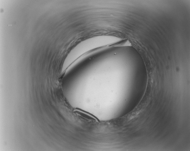 X0000054440916200508270009