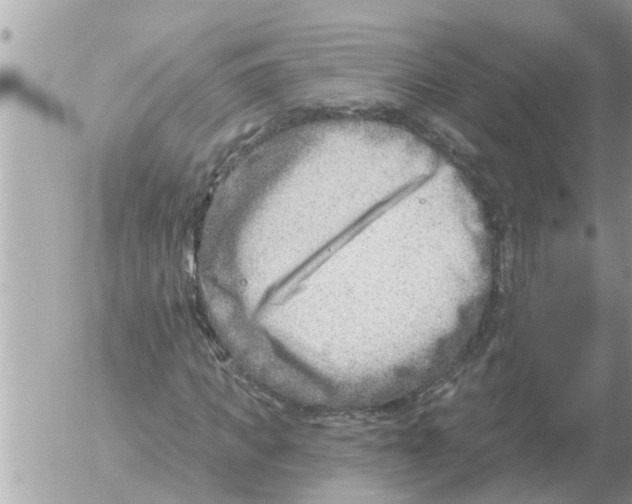 X0000054440917200508270009