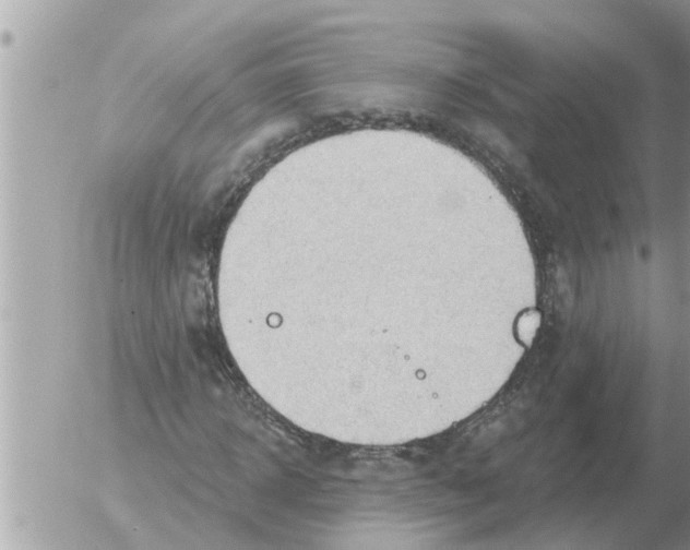 X0000054440918200508270009