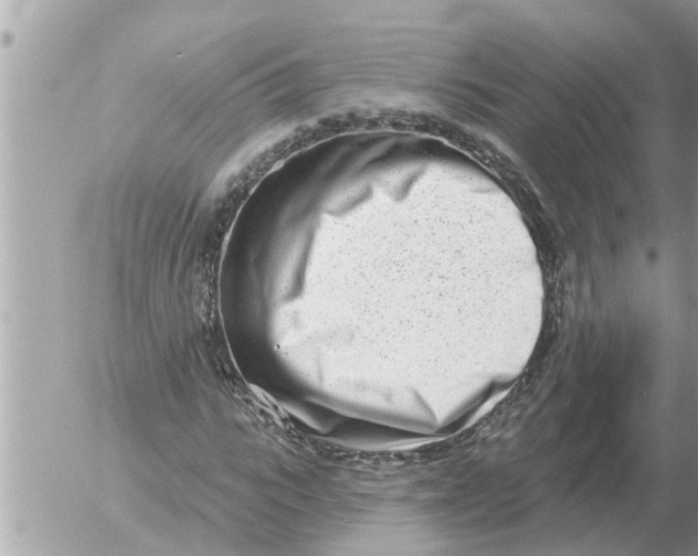 X0000054440919200508270009