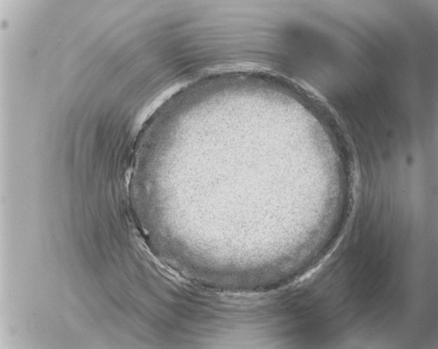 X0000054440921200508270009