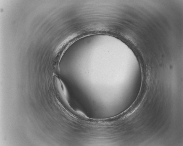 X0000054440922200508270009