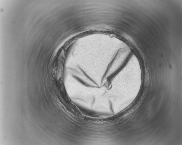 X0000054440923200508270009