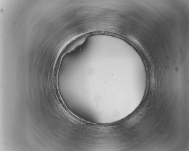 X0000054440924200508270009