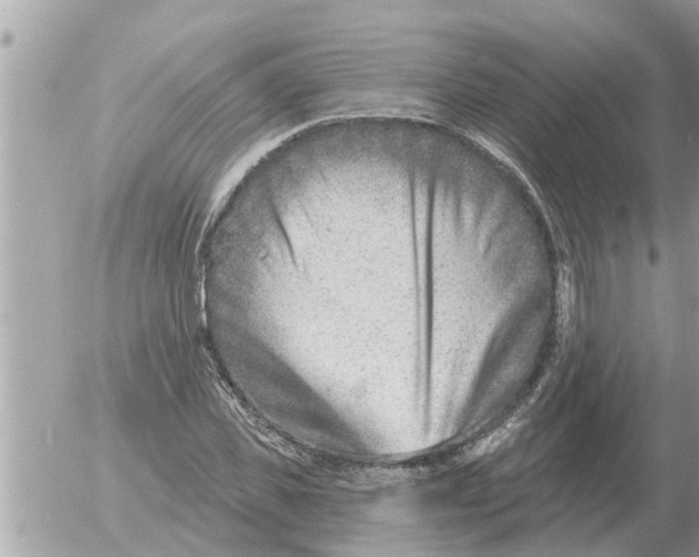 X0000054440925200508270009