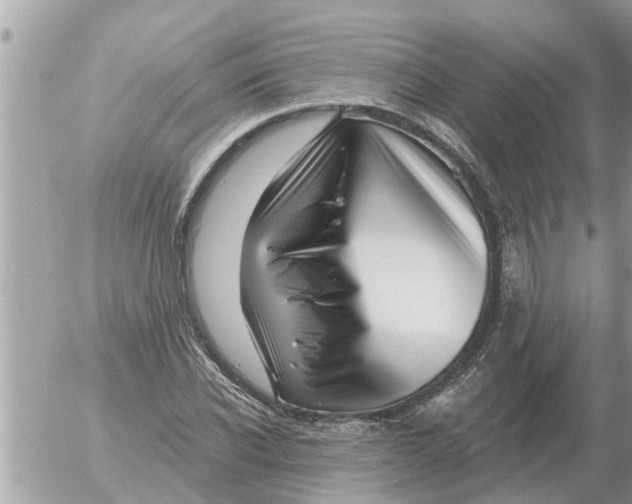 X0000054440926200508270009