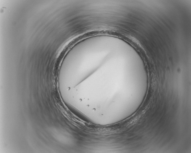 X0000054440927200508270009