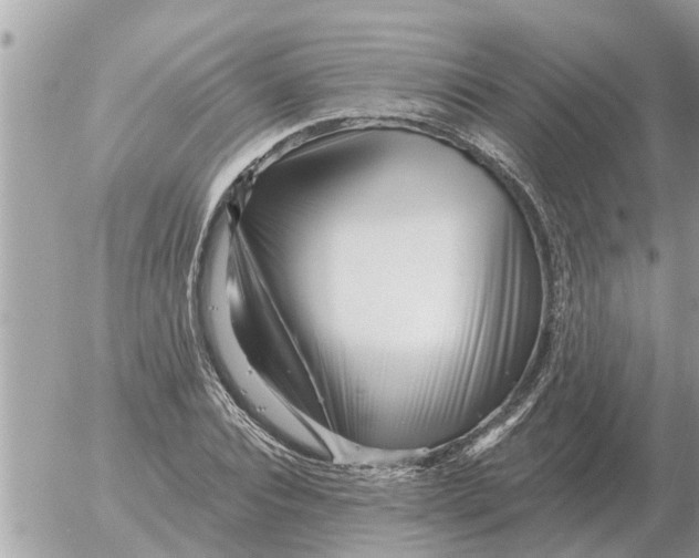 X0000054440928200508270009