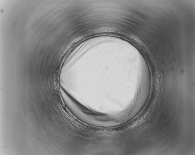 X0000054440929200508270009