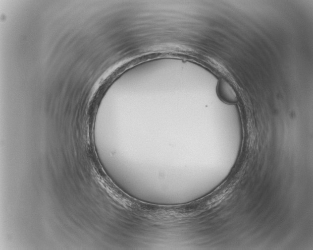 X0000054440931200508270009