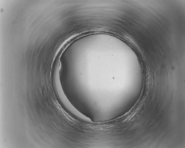 X0000054440932200508270009