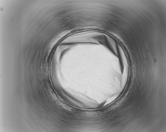 X0000054440933200508270009