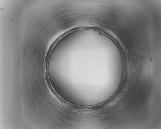 X0000054440935200508270009