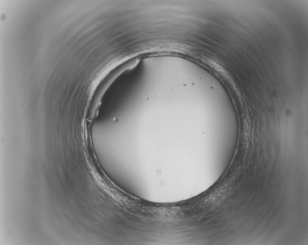 X0000054440936200508270009