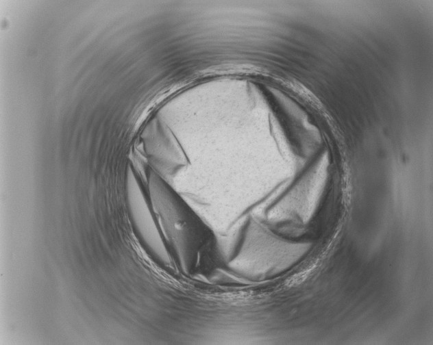 X0000054440937200508270009