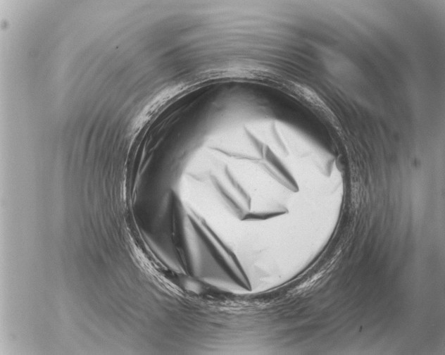 X0000054440938200508270009