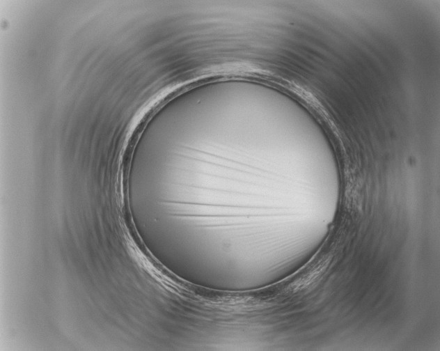 X0000054440939200508270009