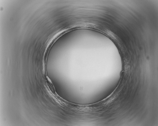 X0000054440940200508270009