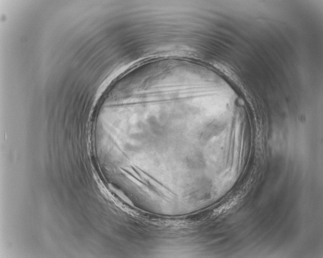 X0000054440941200508270009