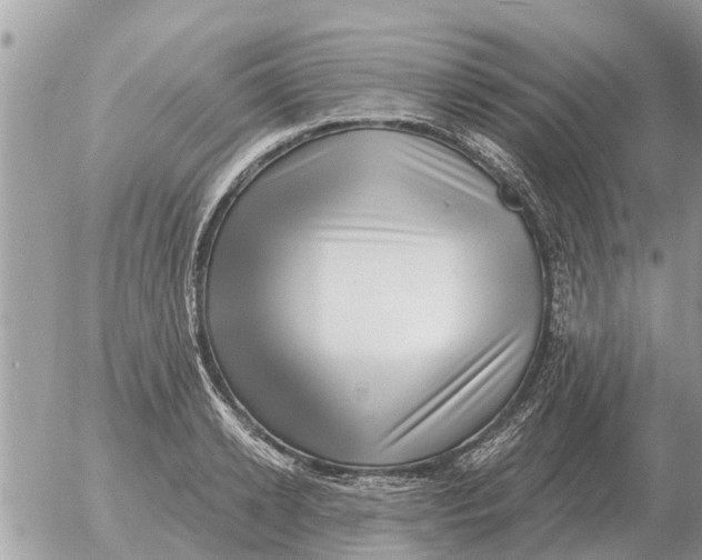 X0000054440942200508270009