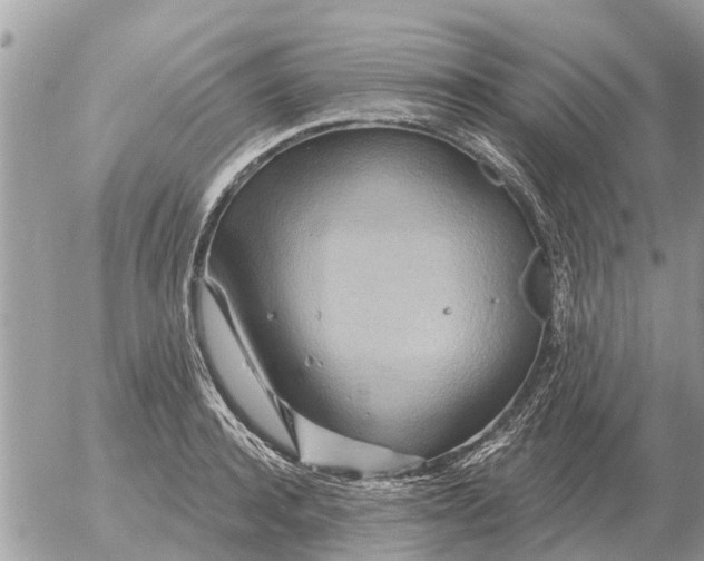 X0000054440944200508270009