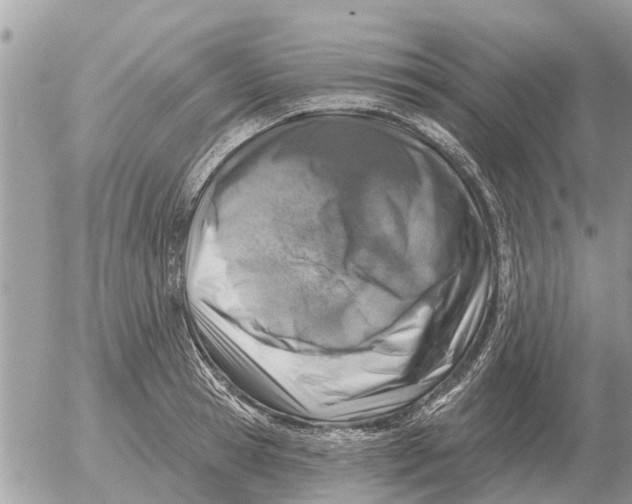 X0000054440945200508270009