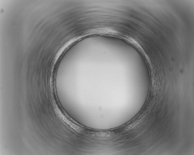 X0000054440947200508270009