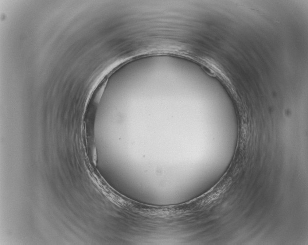 X0000054440948200508270009