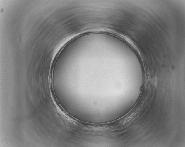 X0000054440951200508270009