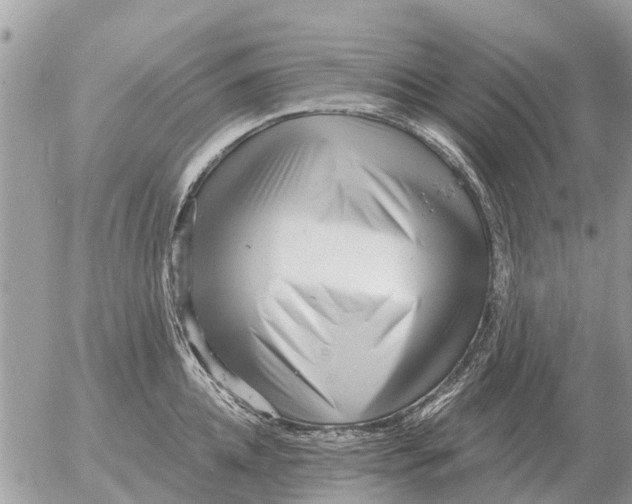 X0000054440952200508270009