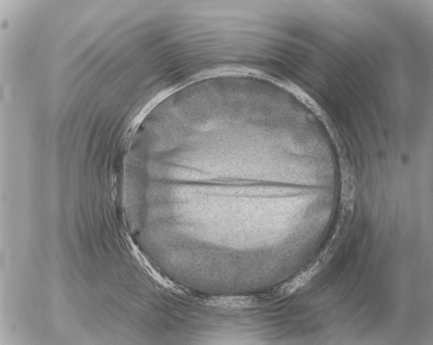 X0000054440953200508270009