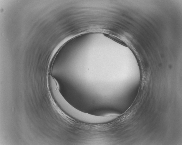 X0000054440955200508270009