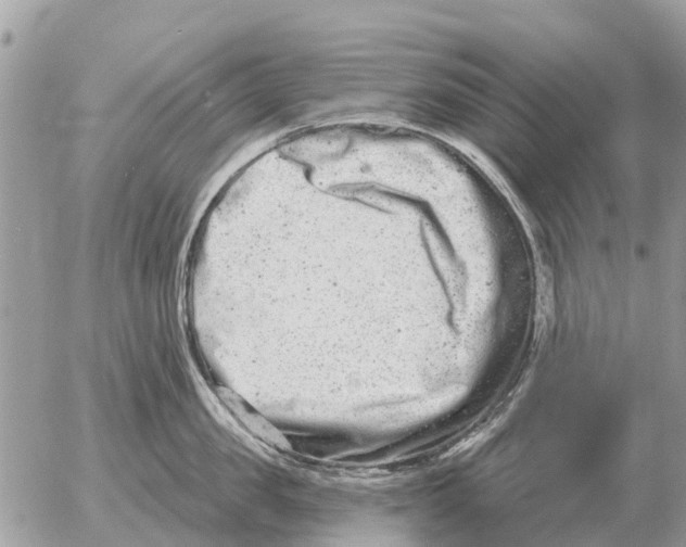 X0000054440957200508270009