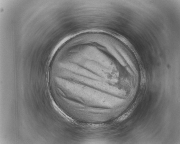 X0000054440958200508270009