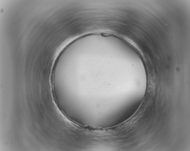 X0000054440959200508270009