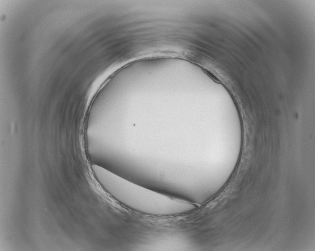 X0000054440960200508270009