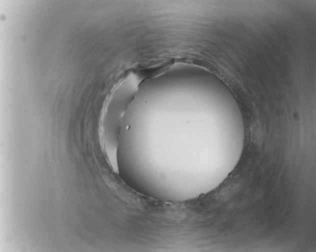 X0000054440961200508270008