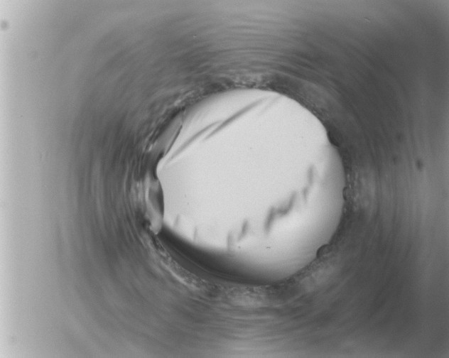 X0000054440962200508270008