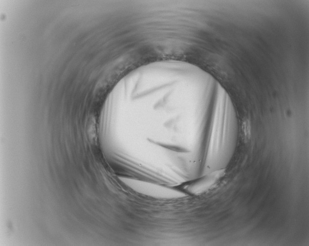 X0000054440963200508270008