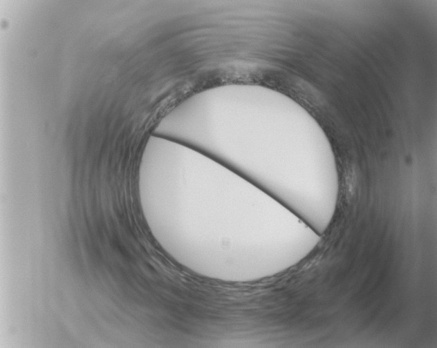 X0000054440964200508270008