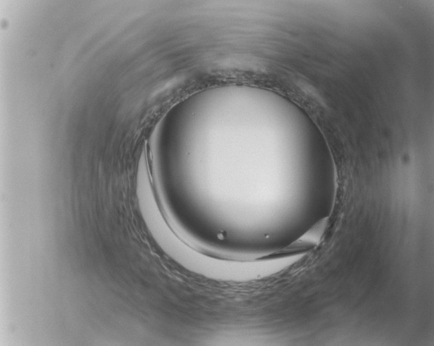 X0000054440965200508270008