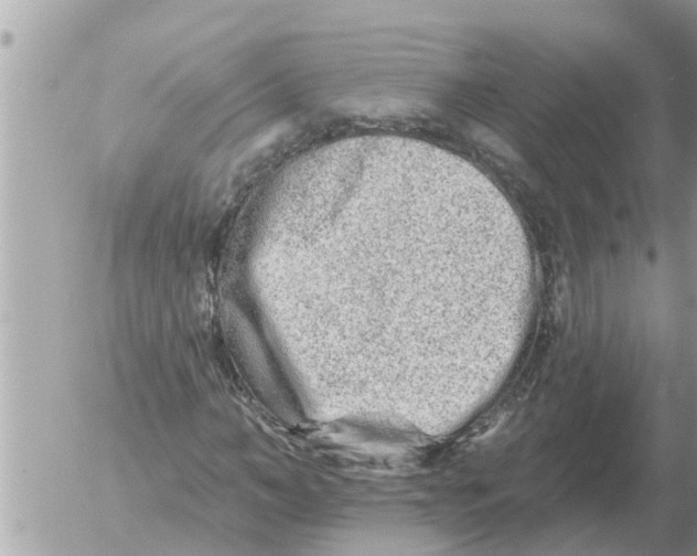 X0000054440966200508270008