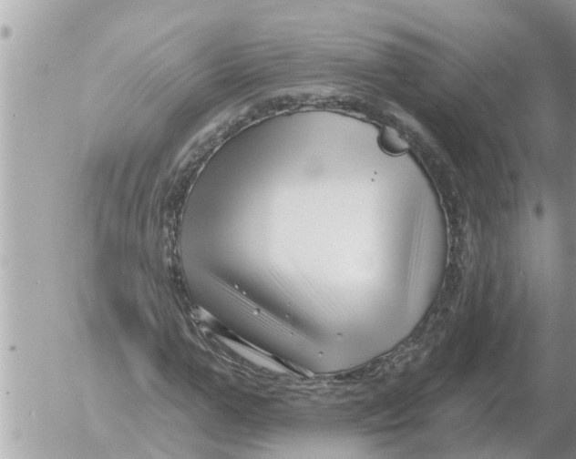 X0000054440967200508270008